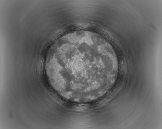 X0000114420463200911061626