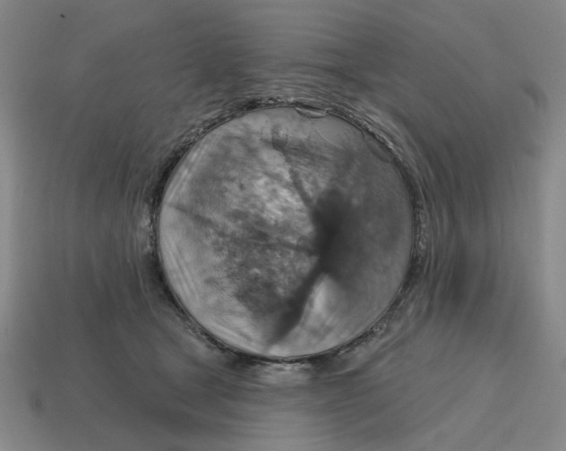 X0000114420465200911061626