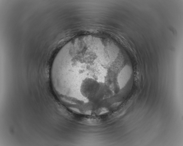 X0000114420466200911061626