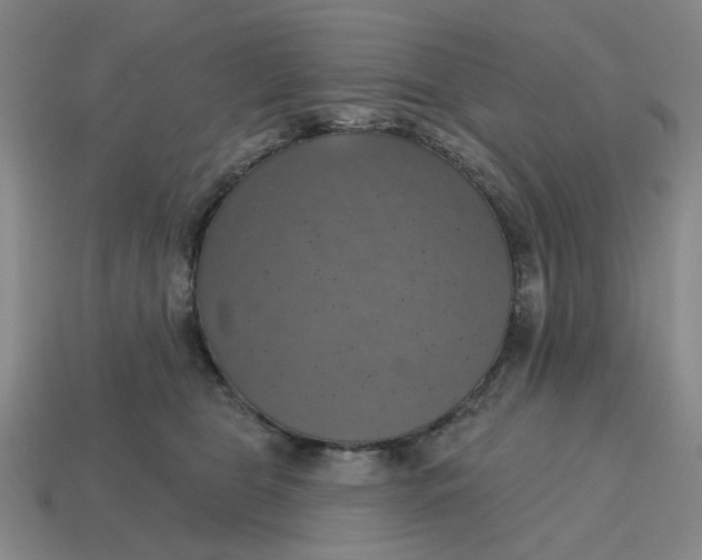 X0000114420469200911061626