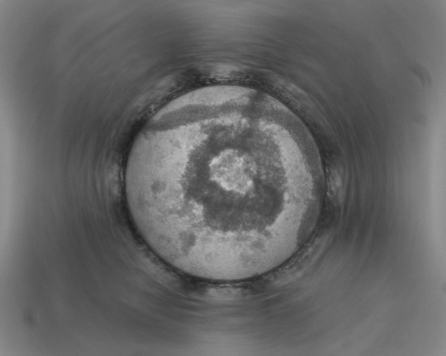 X0000114420470200911061626