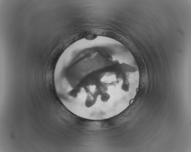 X0000114420473200911061626