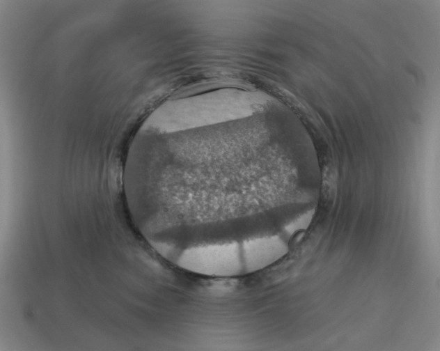 X0000114420474200911061626
