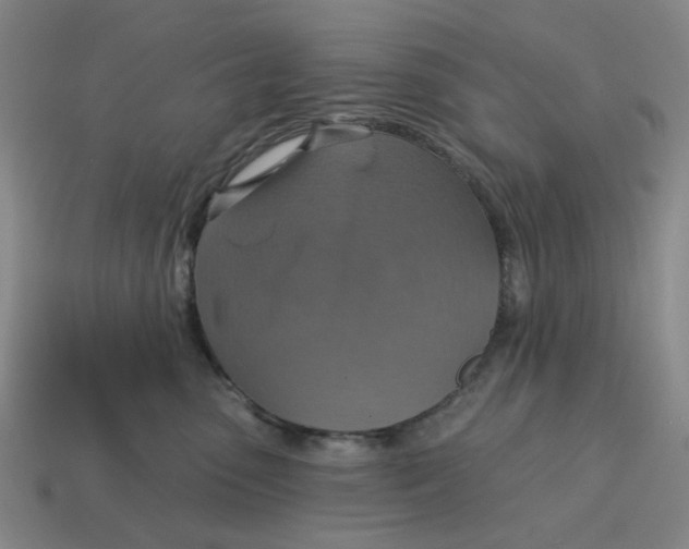 X0000114420475200911061626