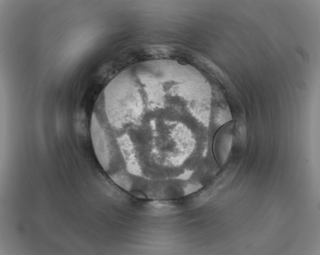 X0000114420477200911061626