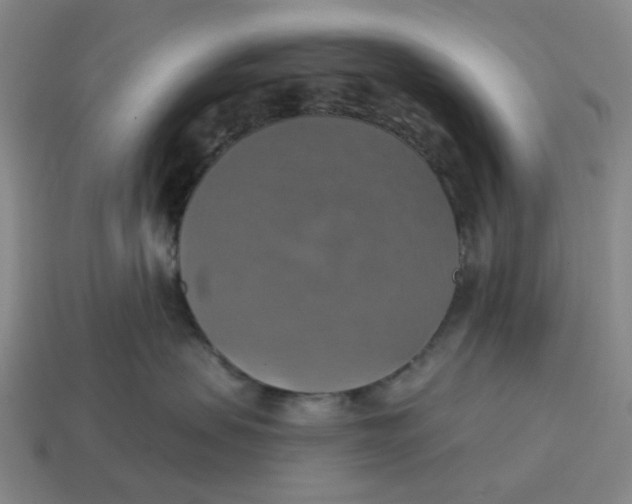 X0000114420479200911061626
