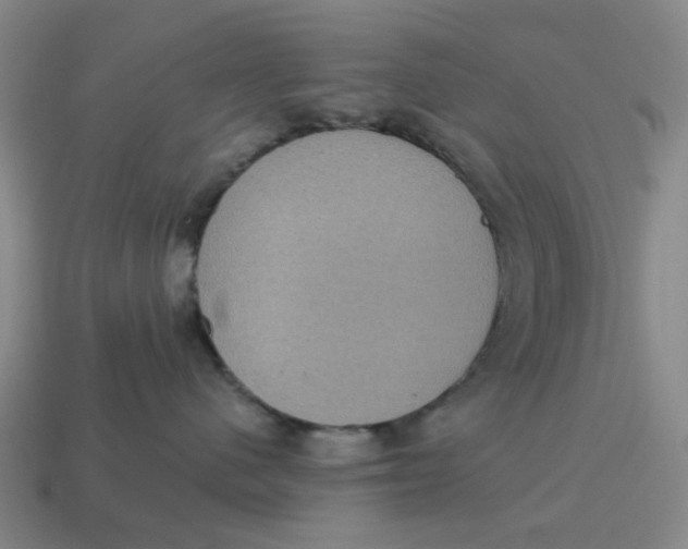 X0000114420480200911061626