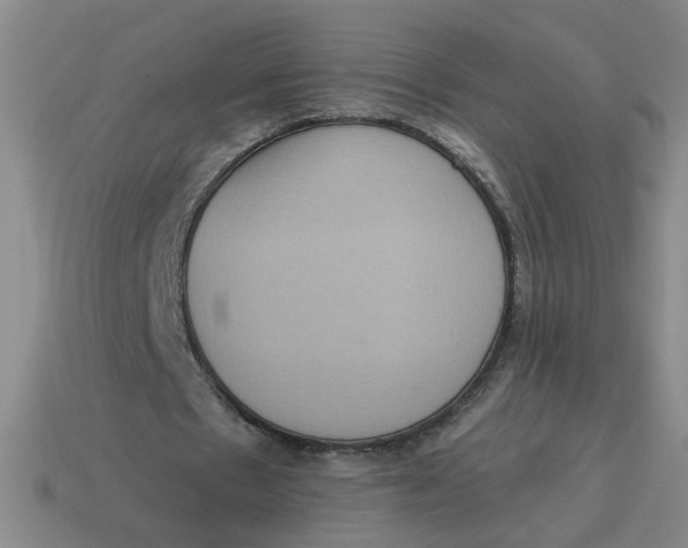 X0000114420481200911061625