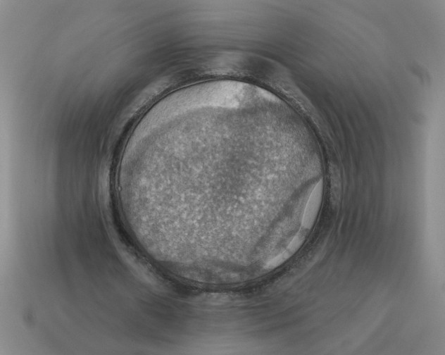 X0000114420482200911061625