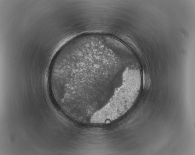 X0000114420483200911061625