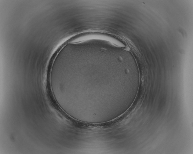 X0000114420484200911061625