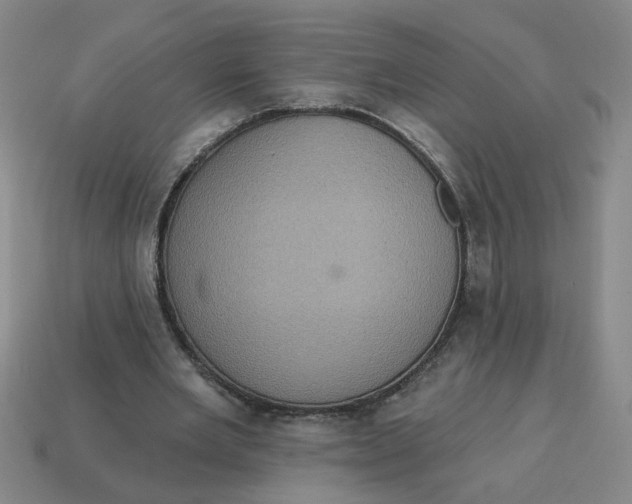 X0000114420485200911061625