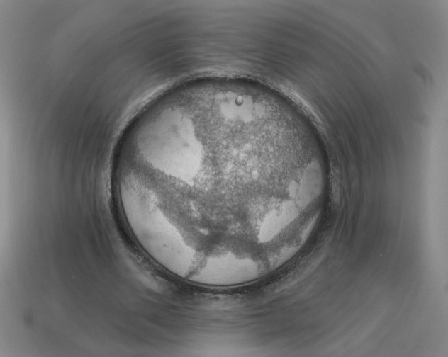X0000114420486200911061625