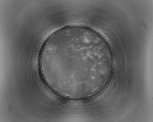 X0000114420487200911061625
