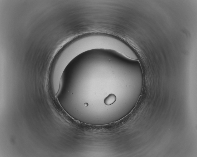 X0000114420488200911061625