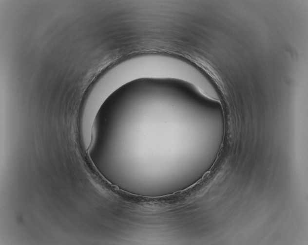 X0000114420489200911061625