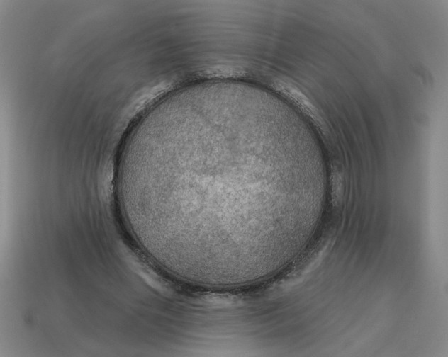 X0000114420490200911061625