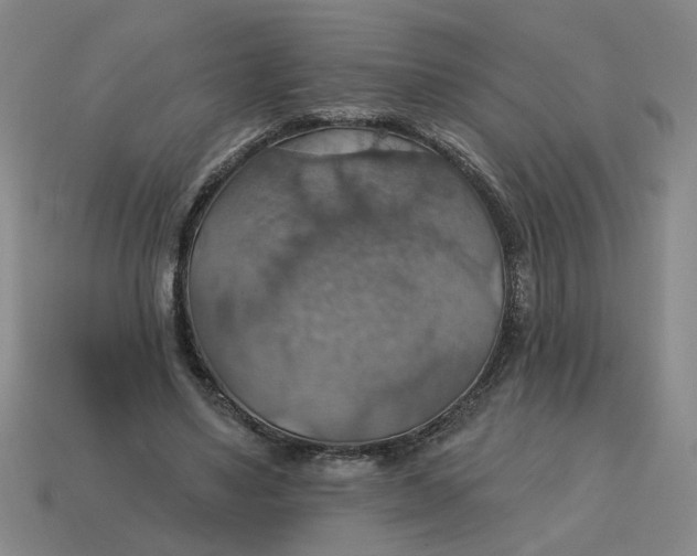 X0000114420491200911061625