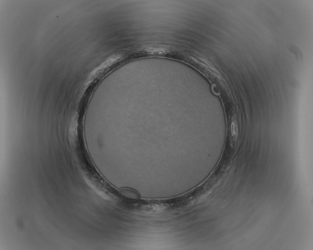 X0000114420492200911061625