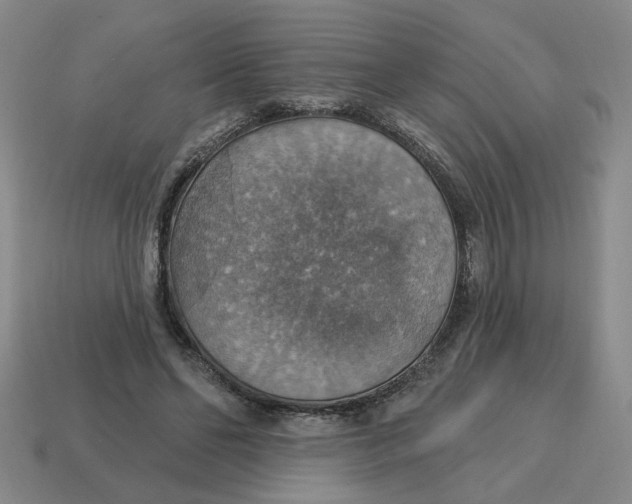 X0000114420494200911061625
