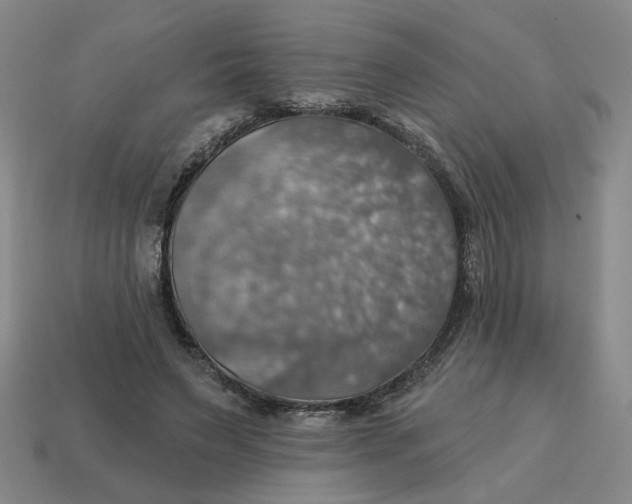 X0000114420495200911061625