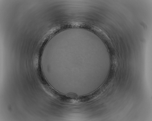 X0000114420496200911061625