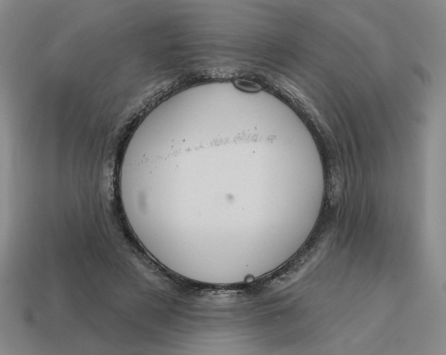 X0000114420497200911061625