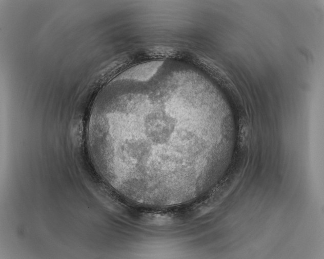 X0000114420498200911061625