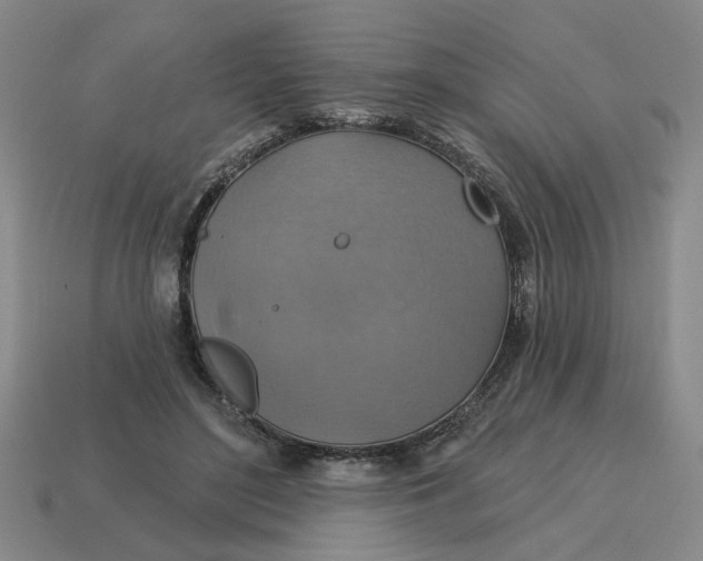X0000114420500200911061625