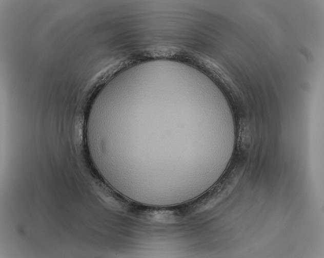 X0000114420501200911061625
