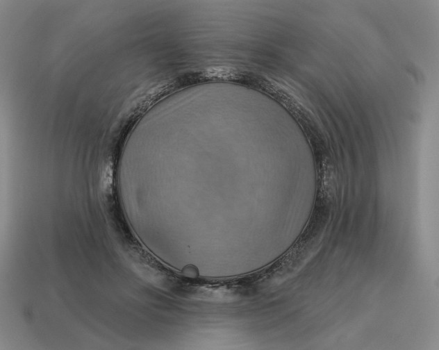 X0000114420502200911061625