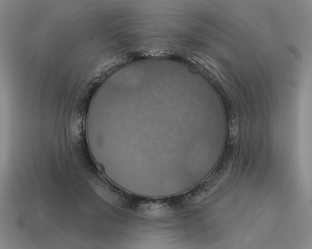 X0000114420503200911061625