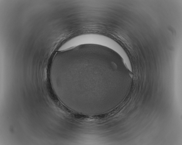 X0000114420504200911061625