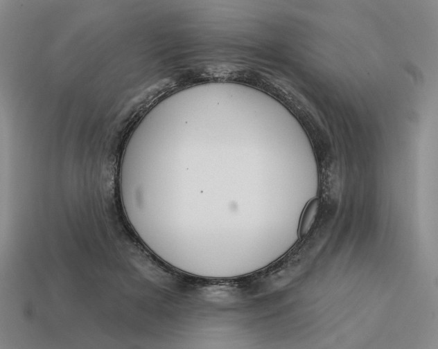 X0000114420505200911061625