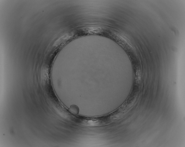 X0000114420506200911061625