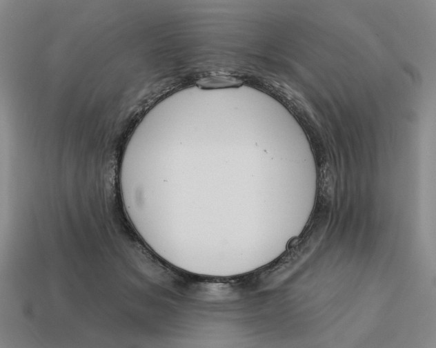 X0000114420509200911061625