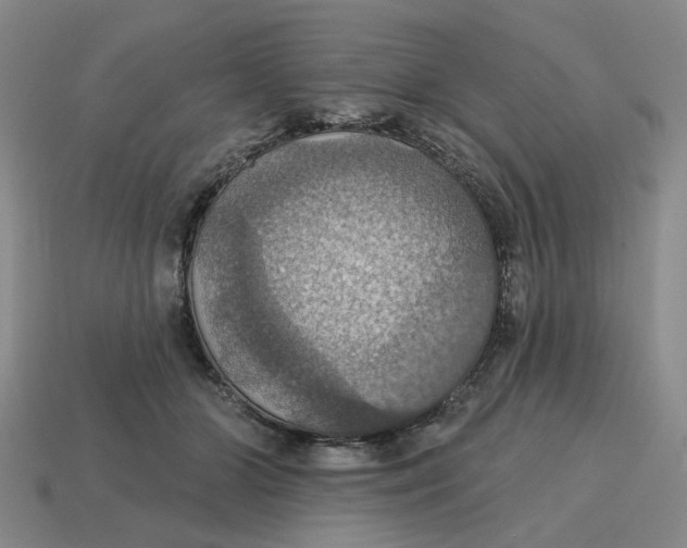 X0000114420510200911061625