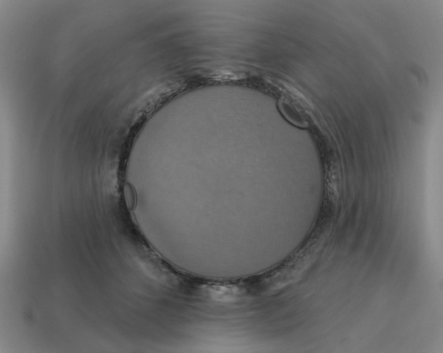 X0000114420512200911061625