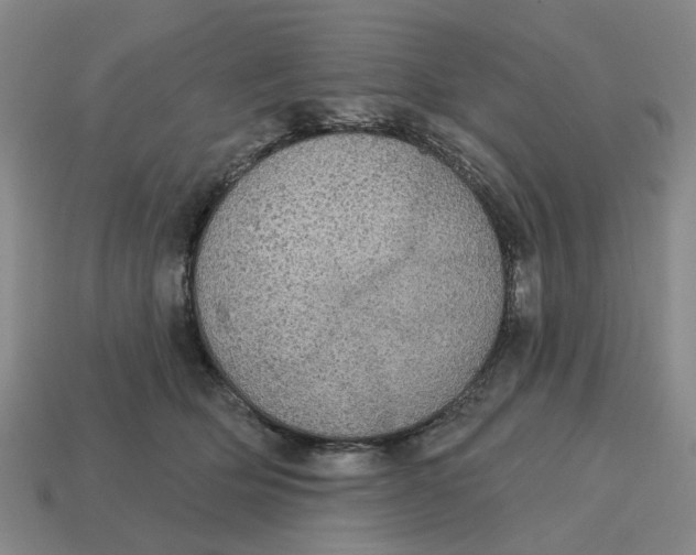X0000114420514200911061625