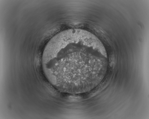 X0000114420515200911061625