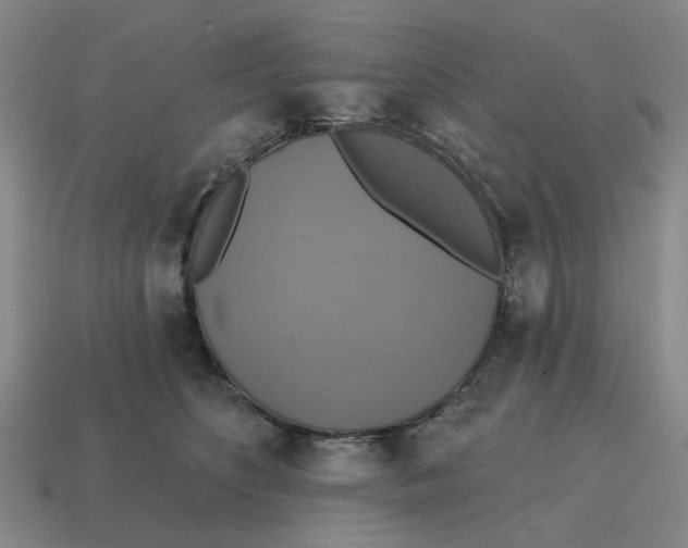 X0000114420516200911061625