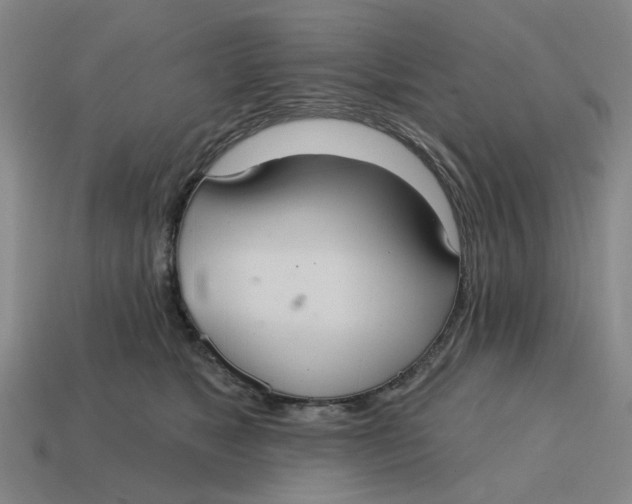 X0000114420517200911061625