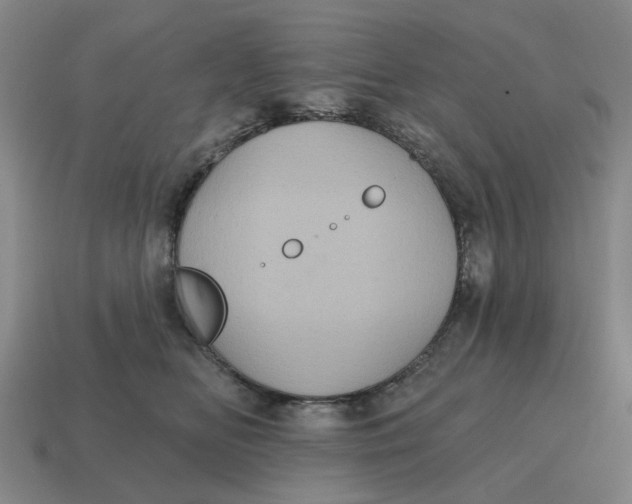 X0000114420518200911061625