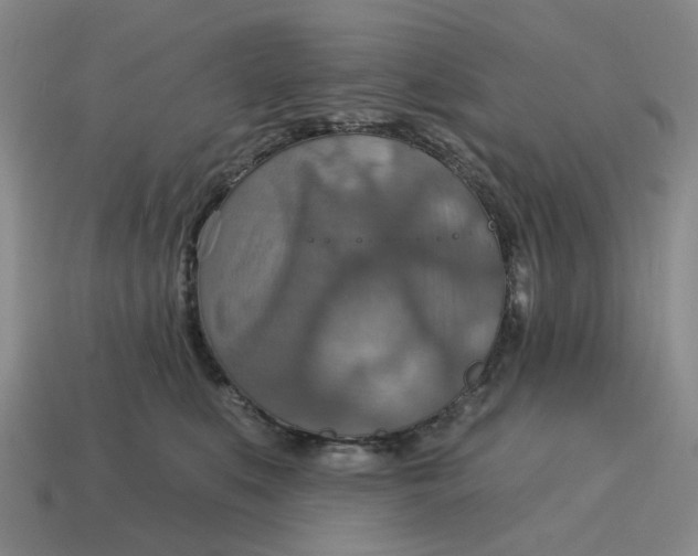 X0000114420519200911061625