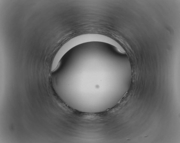 X0000114420521200911061625