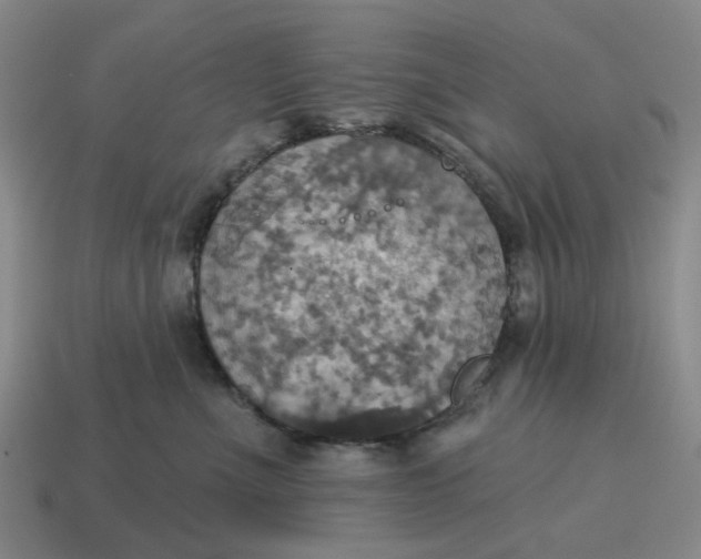 X0000114420523200911061625