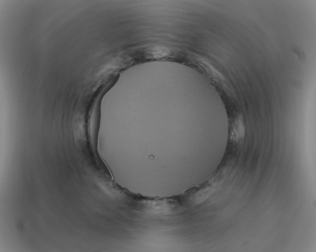 X0000114420524200911061625