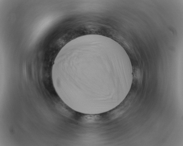 X0000114420526200911061625