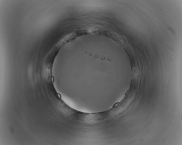 X0000114420527200911061625