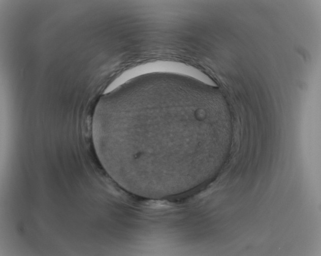 X0000114420528200911061625